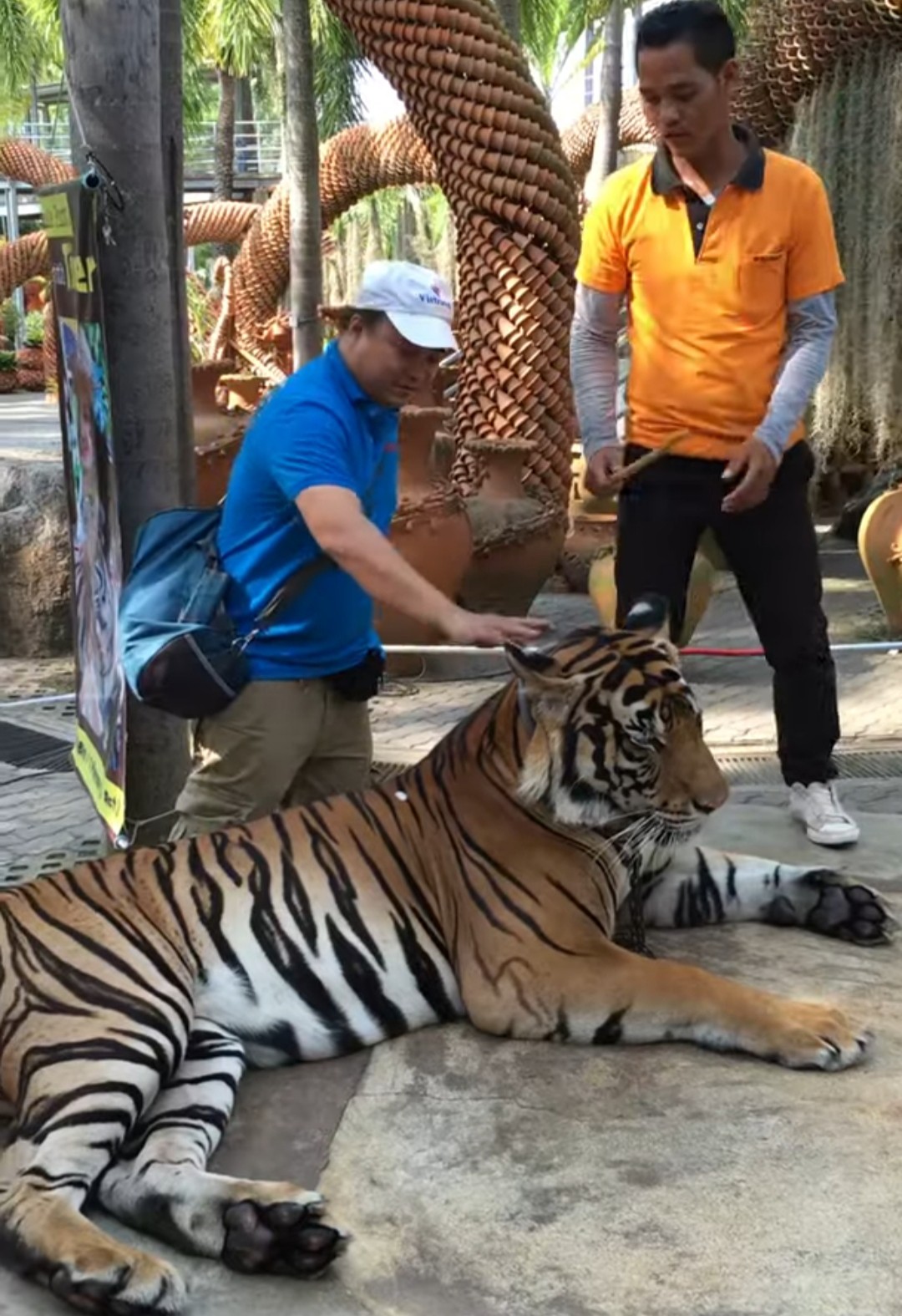 NPP Sơn ZIKON , KAWA tham quan vườn thú Bangkok